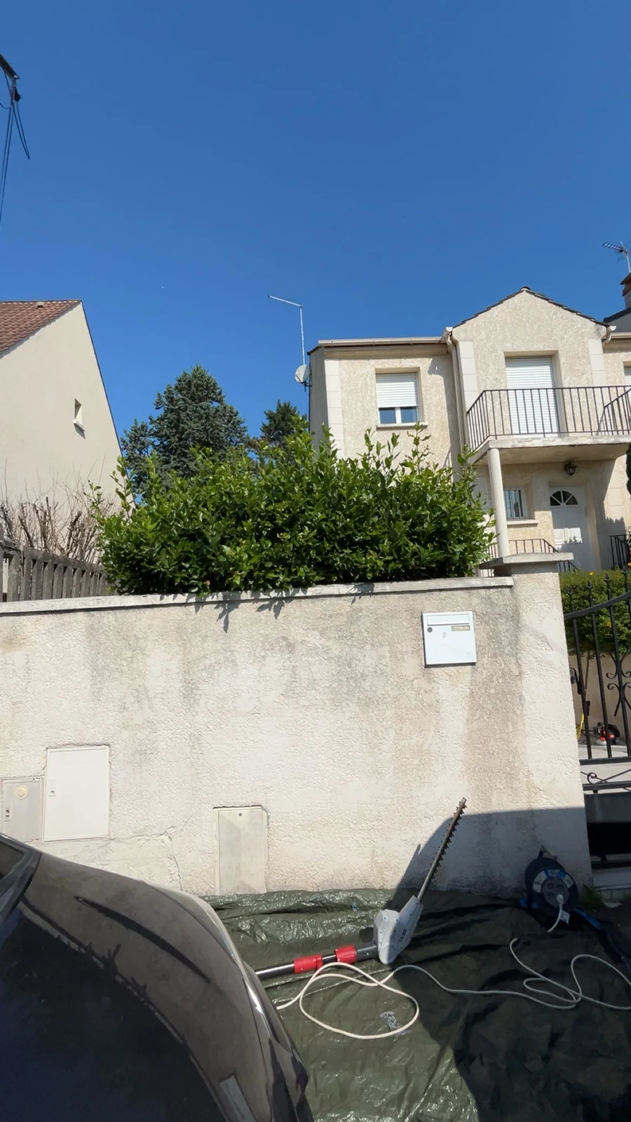 Taille de haie — côté rue — Avant
